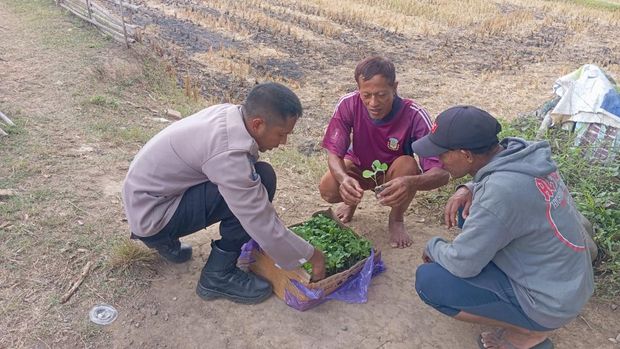 Brigpol Kamaludin bantu peternak dan petani di Taliwang, Sumbawa Barat, NTB