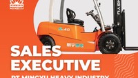 Sales Executive