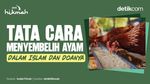 Tata Cara Menyembelih Ayam dalam Islam dan Doanya