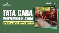 Tata Cara Menyembelih Ayam dalam Islam dan Doanya
