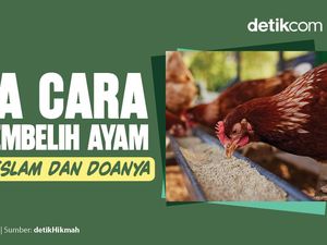 Tata Cara Menyembelih Ayam dalam Islam dan Doanya