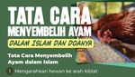 Tata Cara Menyembelih Ayam dalam Islam dan Doanya