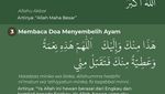Tata Cara Menyembelih Ayam dalam Islam dan Doanya