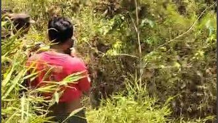 Lokasi penemuan mayat di Pacitan