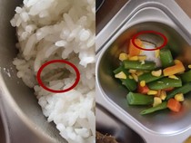 Heboh Ada Ulat di Menu MBG SMK Jambi, Kepsek Bilang Begini