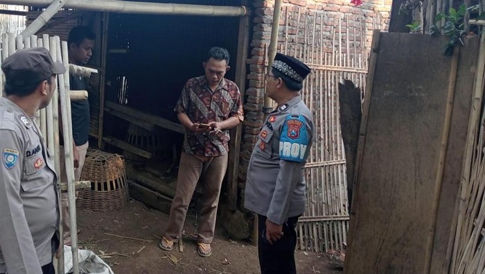 Pencurian sapi di Probolinggo