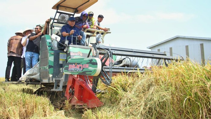 Petani Indramayu Ungkap Bisa Panen Padi Dua Kali Setahun di Era Prabowo