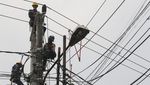 PLN Pastikan Tarif Listrik Oktober-Desember 2025 Tidak Naik