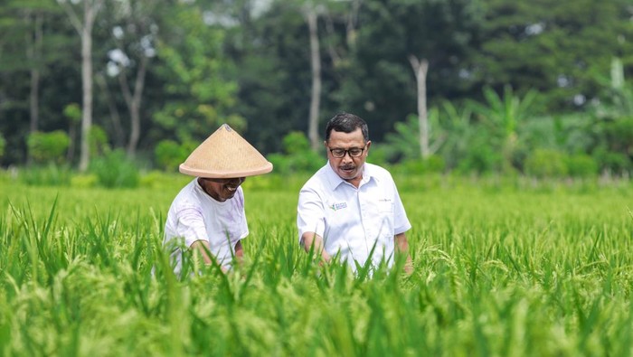 Pupuk Kaltim