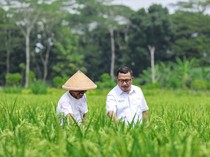 Dukung Produktivitas Pertanian, Pupuk Kaltim Perluas Cakupan Agrosolution