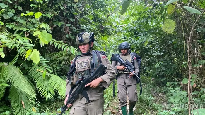 Satgas Madago Raya