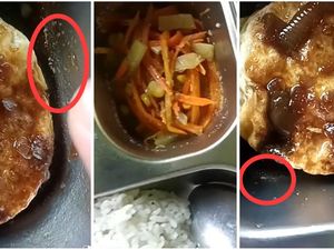 Heboh, Ada Belatung pada Menu MBG di Lampung