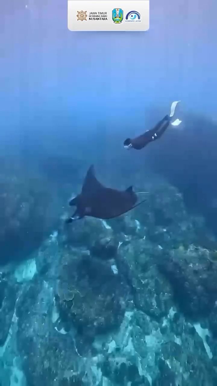 Wisatawan Snorkeling di Pantai Bolu-Bolu Malang