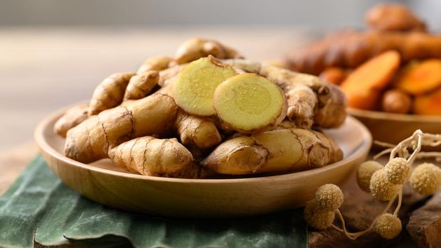 Fresh turmeric white and yellow color, Spice in Asian cuisine
