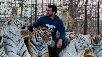 Ryan Easley, rekan bintang Tiger King Joe Exotic, tewas diterkam harimau saat pertunjukan di Growler Pines Tiger Preserve, Hugo, Oklahoma, pada Sabtu (20/9). Menurut TMZ, harimau tiba-tiba menyerang leher dan bahu Easley, menggigit dan mengguncangnya dengan keras. Paramedis berusaha menyelamatkan, namun gagal. Easley merawat hewan-hewan milik Exotic pasca-penahanannya. Foto: Boredpanda