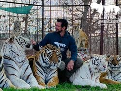 Tragedi Nyata! Tokoh Terkenal Dunia yang Tewas Tragis Akibat Hewan