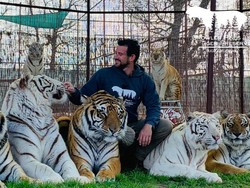 Tragedi Nyata! Tokoh Terkenal Dunia yang Tewas Tragis Akibat Hewan