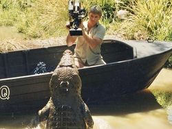 Tragedi Nyata! Tokoh Terkenal Dunia yang Tewas Tragis Akibat Hewan