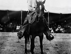 Tragedi Nyata! Tokoh Terkenal Dunia yang Tewas Tragis Akibat Hewan