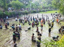 Tradisi Buka Tetek yang Unik di Klaten, Pesertanya Ratusan Orang