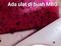 Video: Viral Buah di Menu MBG SDN Lubuklinggau Ada Ulatnya
