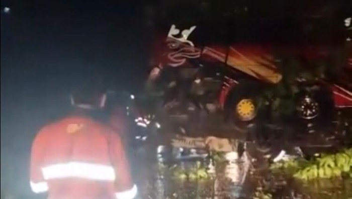 Bus Bintang Zahira rute Sorowako-Makassar terbalik usai tertimpa pohon tumbang di Luwu Timur.
