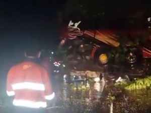 Bus Bintang Zahirah Sorowako-Makassar Kecelakaan Tertimpa Pohon-Terbalik