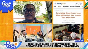 Video: Terungkap Biang Kerok yang Bikin MBG Cepat Basi hingga Picu Keracunan