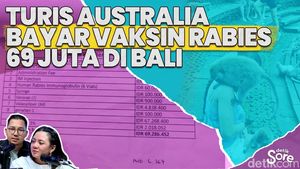 Video: Polemik Turis Bayar Vaksin Rabies Seharga 69 Juta di Bali