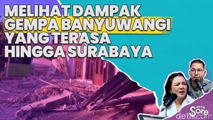 Video: Gempa Banyuwangi 5,7 SR: Puluhan Rumah Jadi Korban