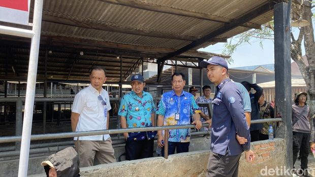 Dua setu atau telaga di Depok, Jawa Barat (Jabar) mengalami pencemaran limbah dari peternakan hewan. Dua peternakan pun dibongkar karena bikin setu tercemar. (Devi P/detikcom)