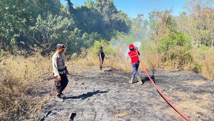 etugas Damkartan Karangasem berupaya memadamkan kebakaran lahan di Desa Ban, Kecamatan Kubu, Jumat (26/9/2025). (Dok. Damkartan Karangasem)