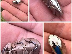 Bukan AI, Hewan-hewan Aneh Ini Benar Ada di Dunia Nyata