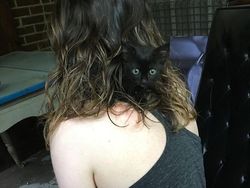 Kala Hewan Lucu Jadi Ninja, Ngumpet di Tempat Out of the Box