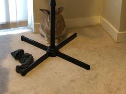 Kala Hewan Lucu Jadi Ninja, Ngumpet di Tempat Out of the Box