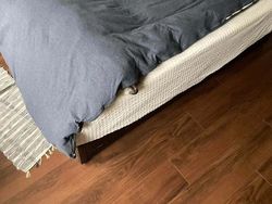 Kala Hewan Lucu Jadi Ninja, Ngumpet di Tempat Out of the Box