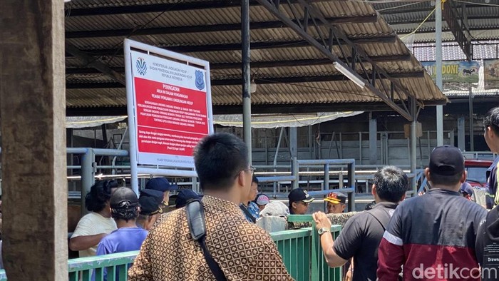 Kandang dan rumah potong hewan di wilayah Cimanggis, Depok, Jabar disegel KLH dan Pemkot Depok karena  diduga melakukan pencemaran lingkungan ke setu. (Devi P/detikcom)