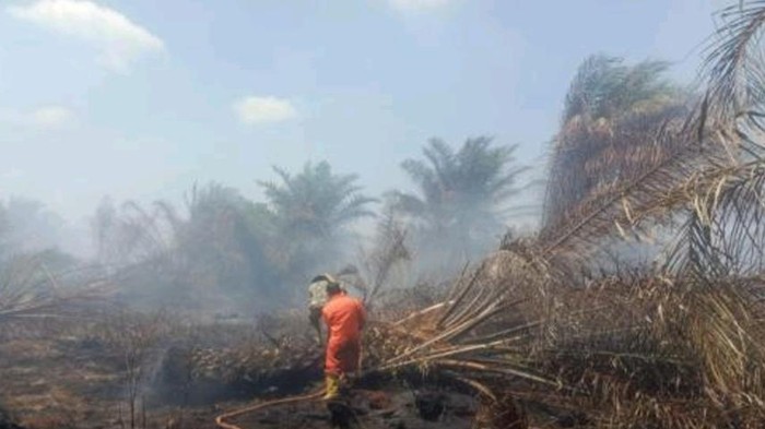 Karhutla di Muara Enim terjadi selama 4 hari.