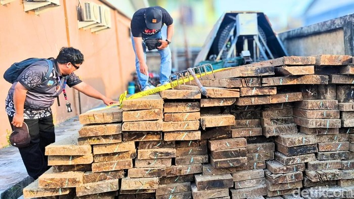 Satpolairud Polres Tarakan menggagalkan upaya penyelundupan kayu olahan ilegal di perairan Tarakan, Kalimantan Utara. Sebanyak 14,3 meter kubik kayu meranti tanpa dokumen diamankan dari sebuah perahu long boat. Seorang motoris kini telah ditetapkan sebagai tersangka.