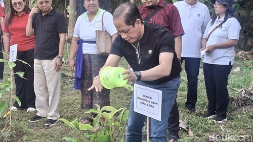 Menteri Lingkungan Hidup, Hanif Faisol, saat penanaman pohon di Taman Kehati, Denpasar, Bali, Jumat (26/9/2025). (Foto: Fabiola Dianira/detikBali)