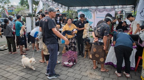 Pemkab Bangli Gelar Vaksinasi Rabies Anjing & Kucing