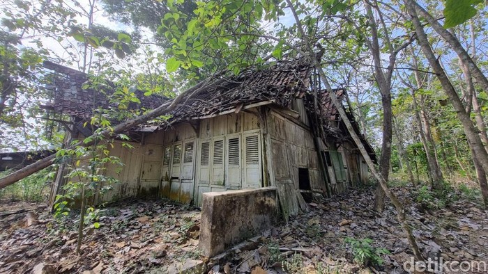 Pohon jati yang menimpa atap bagian depan rumah.