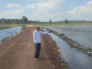 Ratusan Hektar Sawah di Bangka Selatan Terendam Banjir