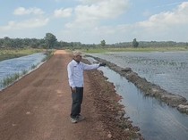 Ratusan Hektar Sawah di Bangka Selatan Terendam Banjir