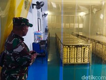 Video: BGN Tutup 45 Dapur SPPG, Janji Akan Perbaiki SDM