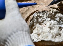 Ilmuwan Ledakkan Telur Dinosaurus Jelajahi Zaman Purba