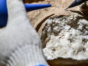Ilmuwan Ledakkan Telur Dinosaurus Jelajahi Zaman Purba