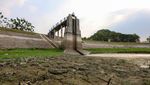 Waduk Perning Nganjuk Kering, Ribuan Hektare Sawah Terancam