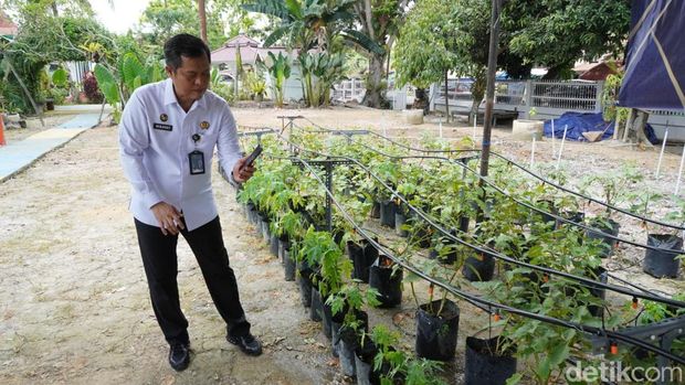 Kakanwil Ditjenpas Jambi mencoba  smart farming, kontrol penyiraman tanaman melalui aplikasi smartphone