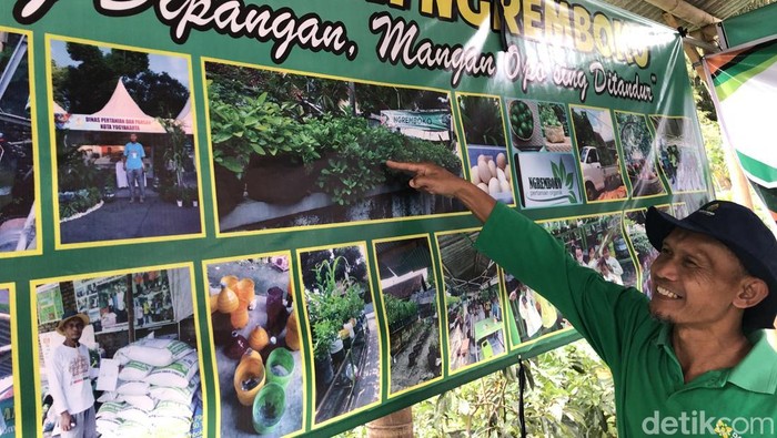 Ketua Kelompok Tani Ngremboko Jogja, Sadiran menunjukan foto tanaman Kentang Jembut, Jumat (19/9/2025).